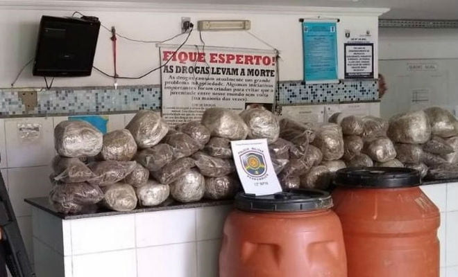 Maconha estava acondiconada em sacos e em tabletes e foi achada dentros dos barris, no Recife — Foto: Polícia MIlitar/Divulgação 