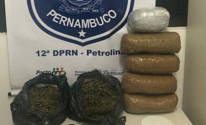 Maconha apreendida no Jardim Maravilha em Petrolina, PE — Foto: Divulgação/ DENARC 