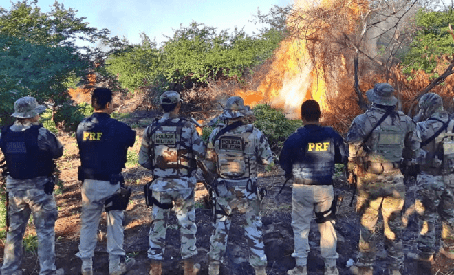 Foto: PRF/Divulgação
