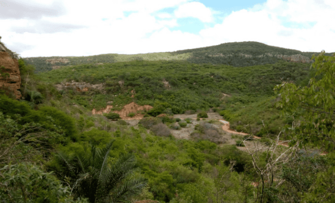 Serra do Giz, no município de Afogados da Ingazeira. (Foto: Divulgação) 