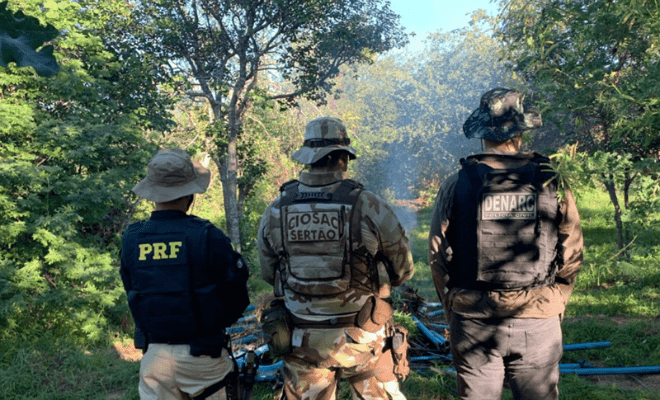 Foto: PRF/Divulgação