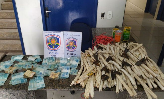 Dois homens são presos em flagrante em Petrolina por roubo à agência bancária no Ceará — Foto: Polícia Militar 