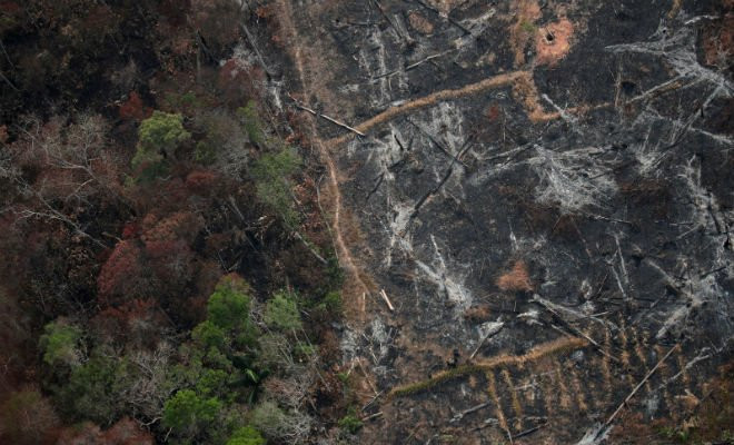 Foto aérea mostra uma parcela desmatada da Amazônia perto de Porto Velho nesta quinta-feira (22) — Foto: Ueslei Marcelino/Reuters 