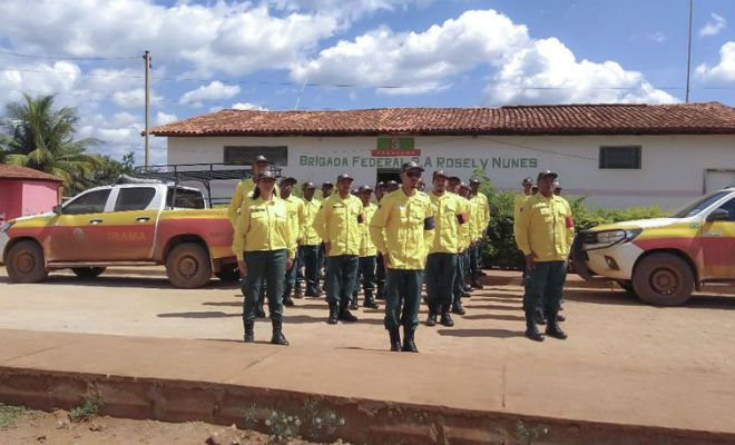 Brigada Federal de prevenção e combate a incêndio florestal - Divulgação Ministério do Meio Ambiente 