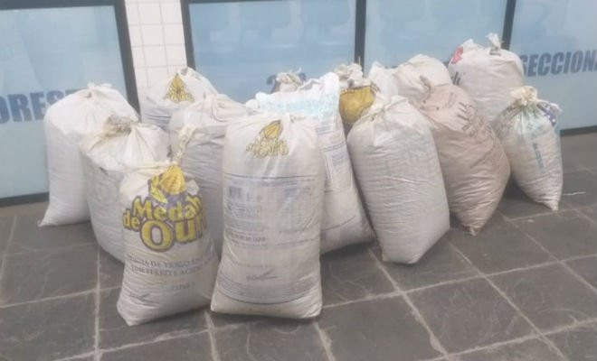 Maconha apreendida em Floresta — Foto: Polícia Militar/Divulgação 