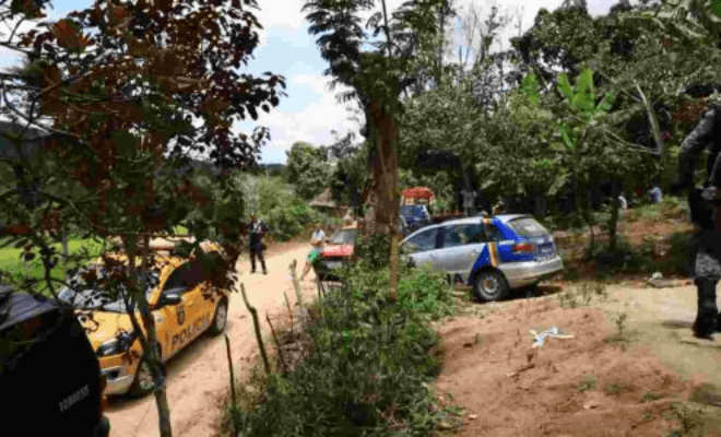 O homem foi preso e levado uma delegacia em Caruaru, também no Agreste de Pernambuco. - Foto: Reprodução/TV Jornal Caruaru