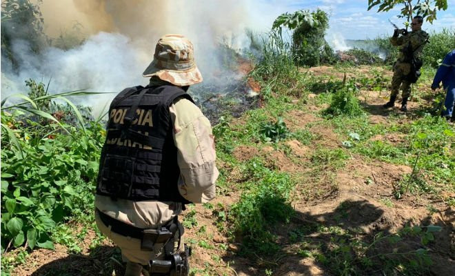 Policiais federais durante a operação Facheiro IV — Foto: PF / divulgação 