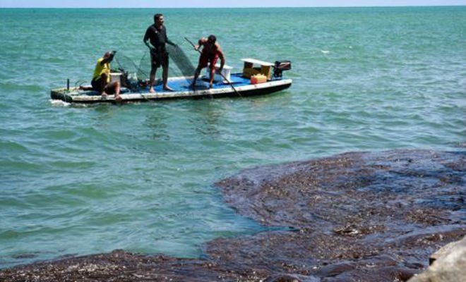 Óleo atinge a praia do Janga | Foto: Léo Malafaia/Folha de Pernambuco