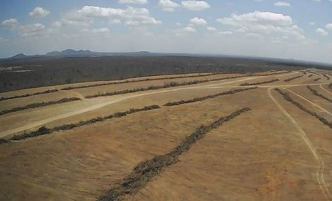 Área da Usina Solar Luiz Gonzaga II, em Terra Nova, da empresa Enercom. | Foto: Divulgação