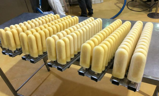 Picolé de cerveja uniu duas marcas pernambucanas para fabricar produto — Foto: Frisabor/Divulgação 
