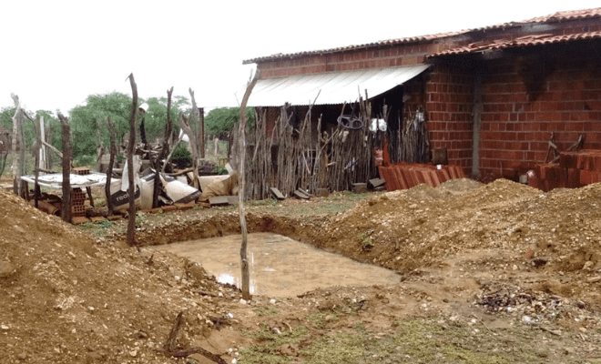 Foto: Pernambuco News/reprodução 