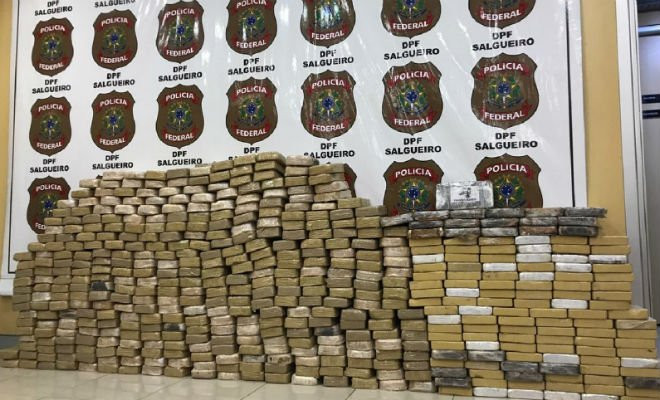 Total de 502 kg de cocaína são apreendidos em Serra Talhada — Foto: Polícia Federal/Divulgação 