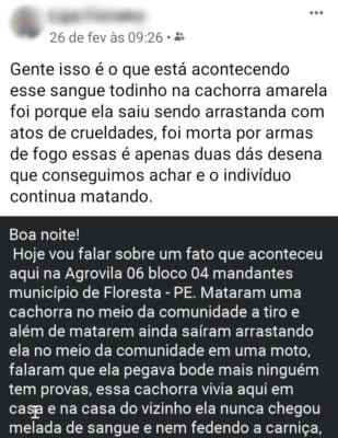 Foto: Reprodução