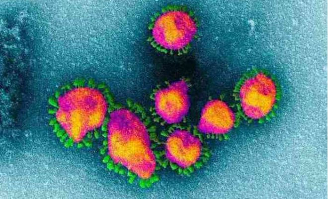 O medicamento 'Interferon alfa 2B' (INFrec) é, na verdade, um antiviral usado no tratamento da doença (foto: Reprodução / MF Press Global) 