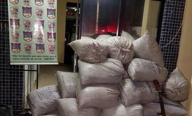 Maconha encontrada em Santa Maria da Boa Vista — Foto: Divulgação / PM 