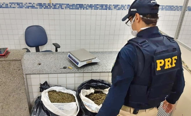 Droga foi encontrada no porta-malas do carro, em Floresta — Foto: PRF/Divulgação 