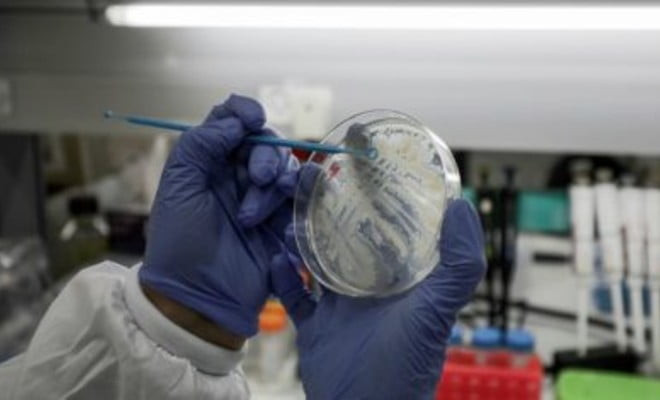 Grupos farmacêuticos e de pesquisas em todo o mundo se lançaram em uma corrida para desenvolver tratamentos e vacinas contra a Covid-19 - AFP/Arquivos 