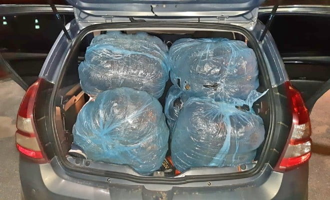 Maconha foi apreendida durante uma fiscalização da PRF em São Caetano — Foto: PRF/Divulgação 