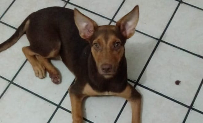 Foto: Reprodução