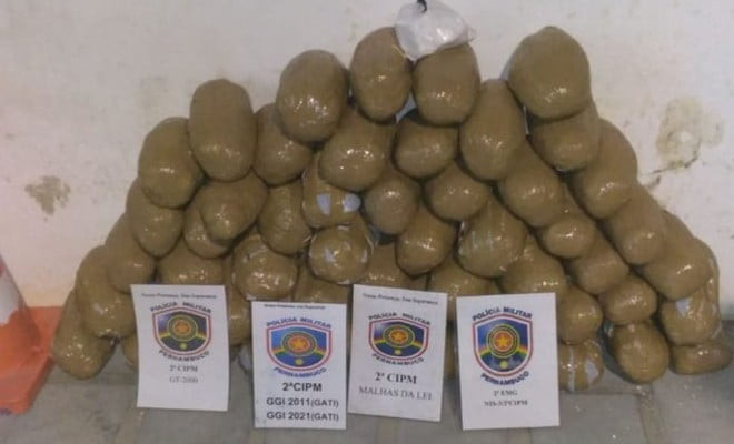 Maconha apreendida dentro de veículo em Cabrobó — Foto: Divulgação/ 2ª CIPM 