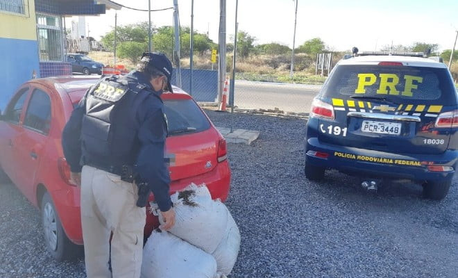 Maconha apreendida em Serra Talhada — Foto: PRF/Divulgação 