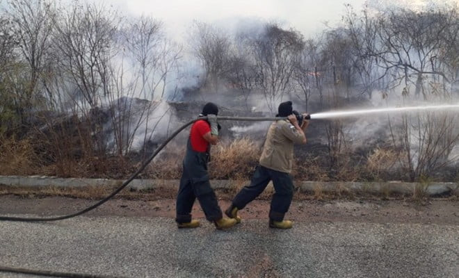 Incêndio no Sertão de Pernambuco — Foto: Corpo de Bombeiros/Divulgação 