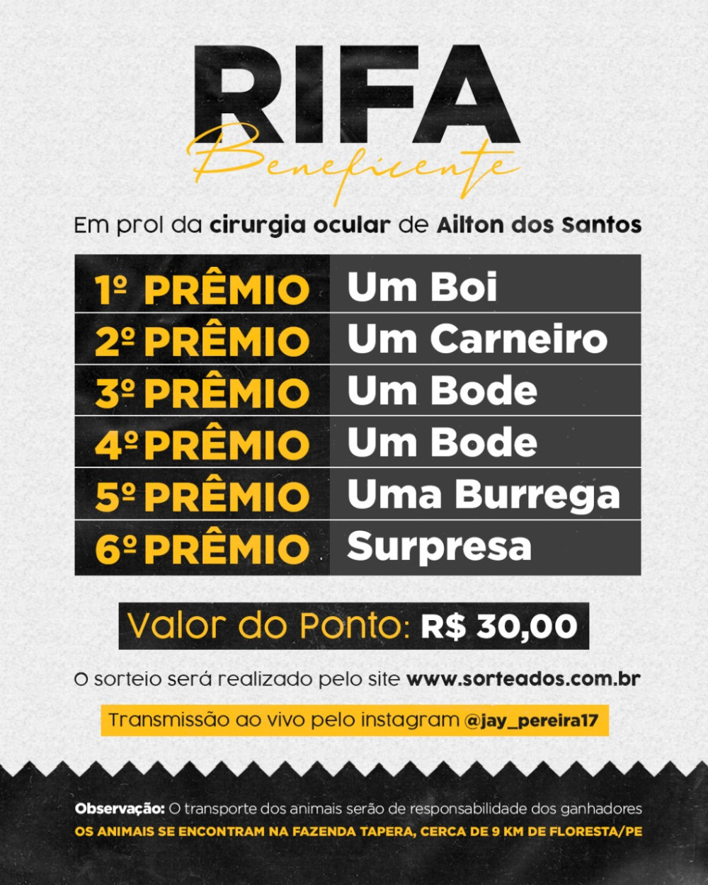 Foto: Reprodução