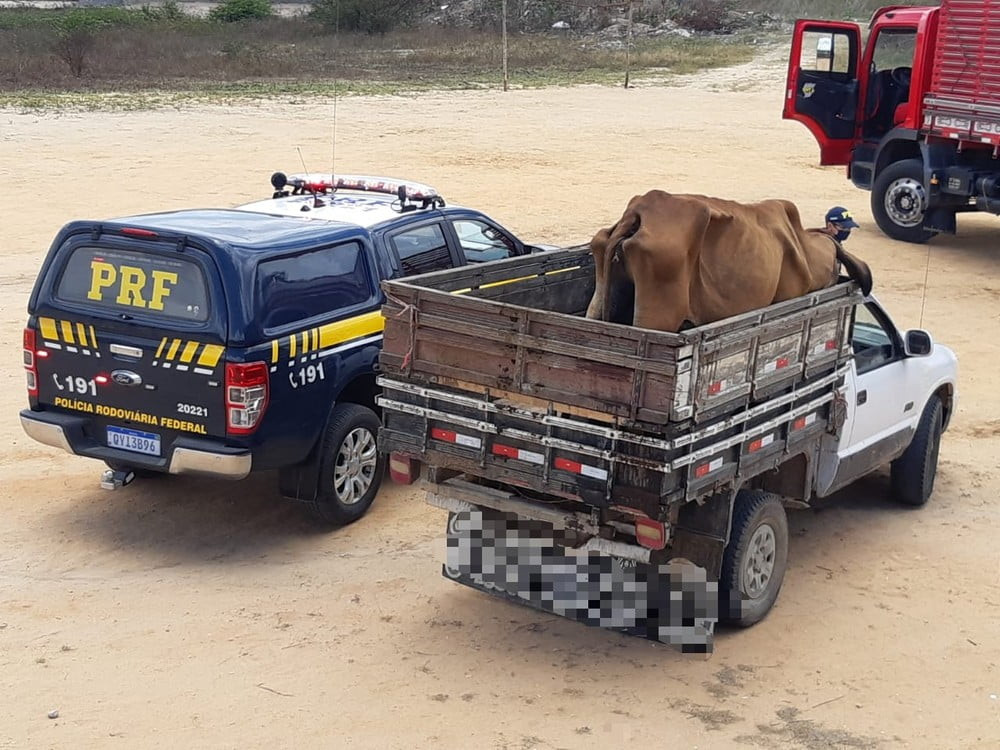 Imagem: PRF/Divulgação