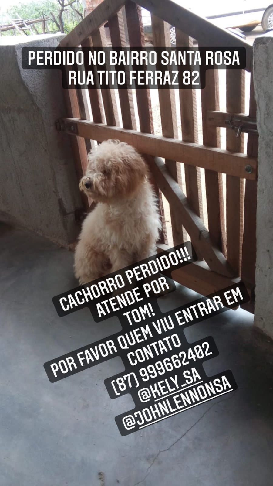 Foto: Reprodução