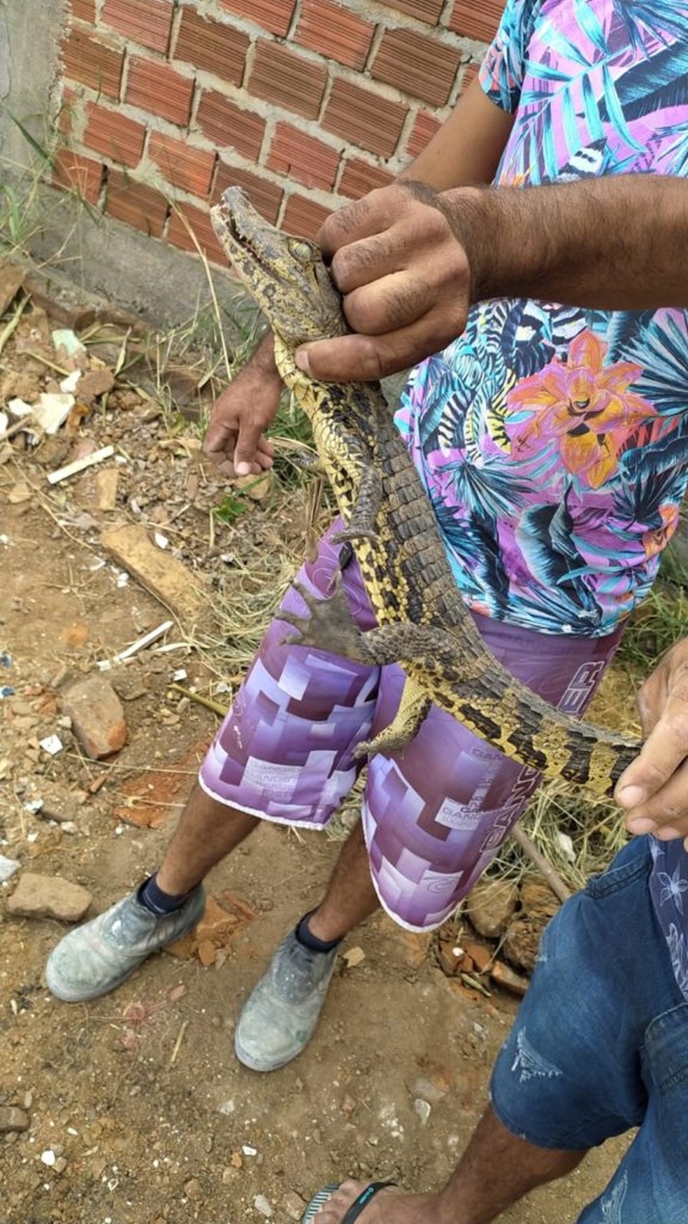 Foto: Reprodução