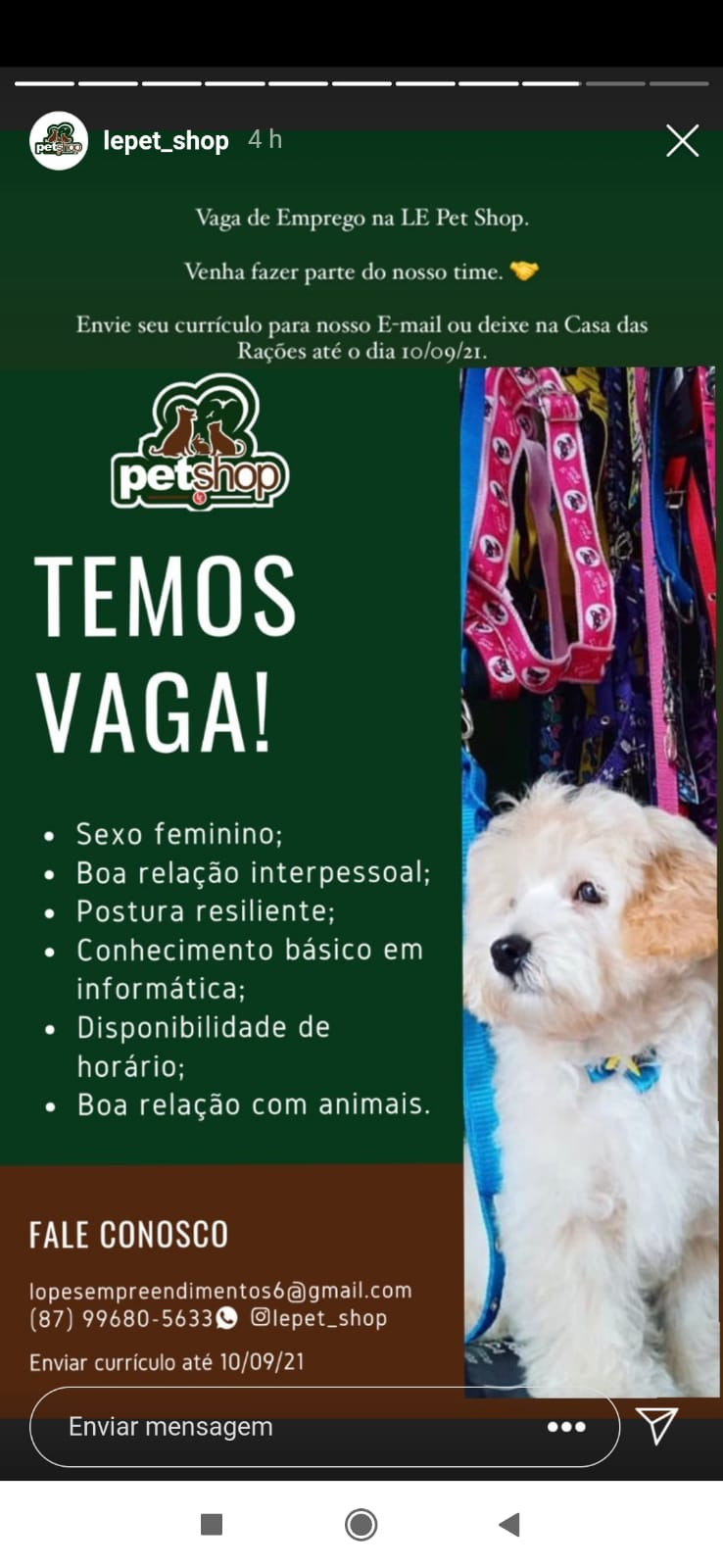 Foto: Reprodução