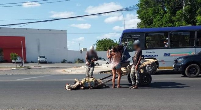 Foto: Reprodução