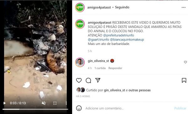 Foto: Reprodução