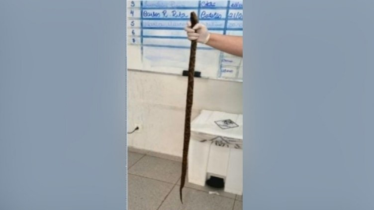 Foto: Reprodução
