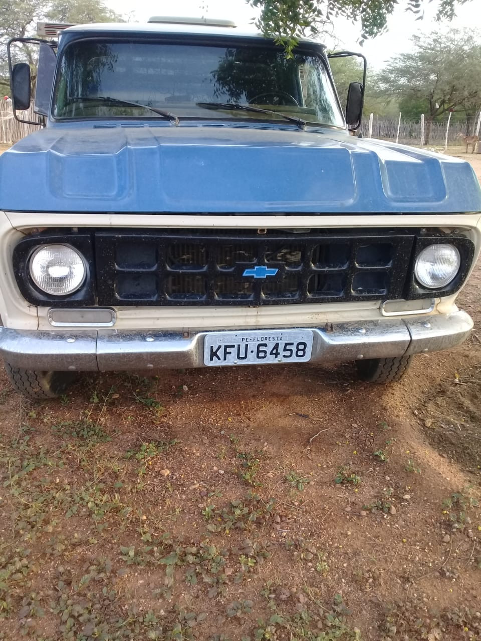 Foto: Reprodução