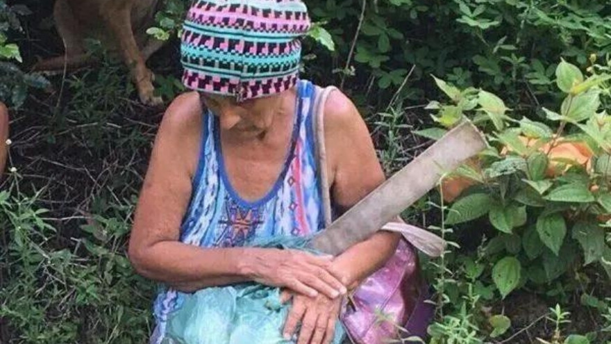 Foto: Reprodução