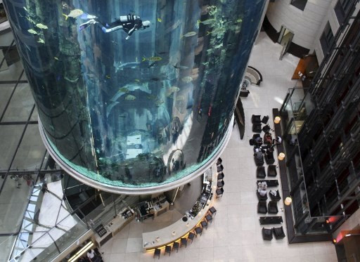 (FILES) In this file photo taken on May 10, 2011 divers clean the 