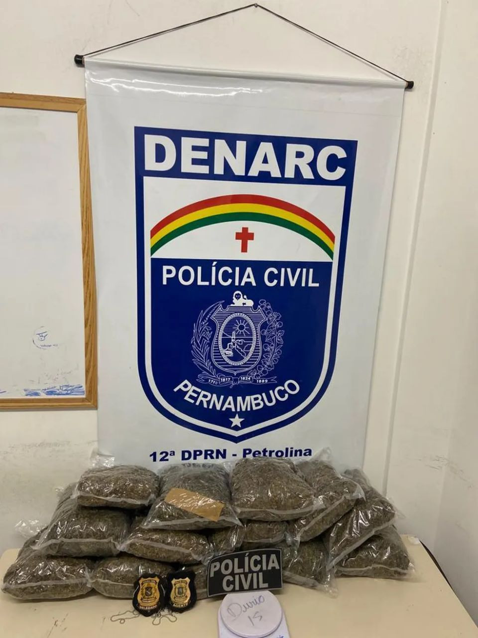 Foto: Reprodução
