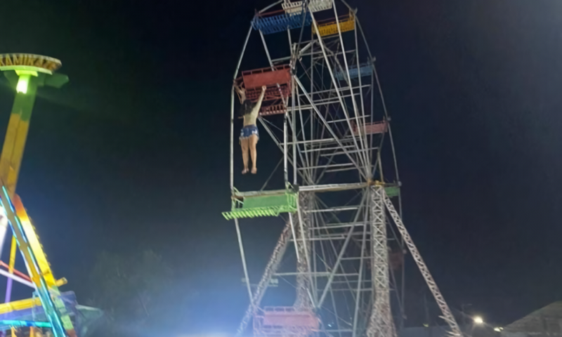 Foto: Reprodução