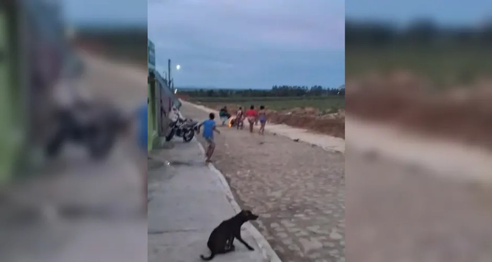 Foto: Reprodução
