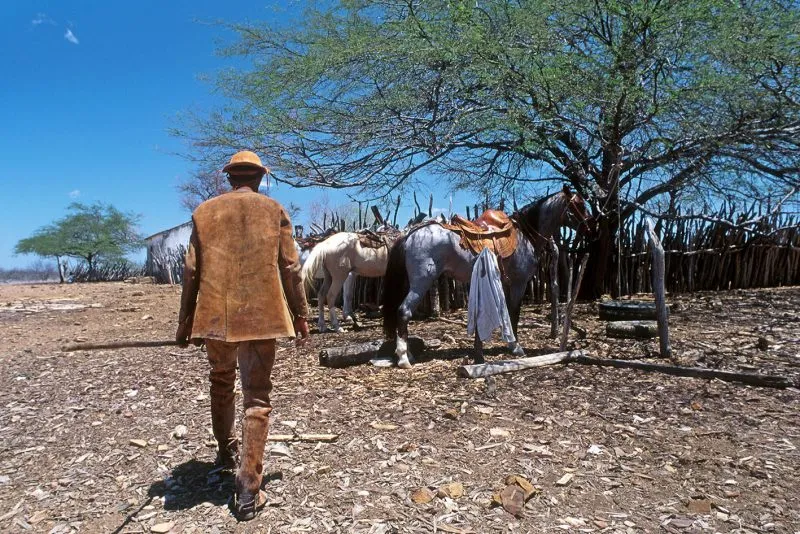 Vereador propõe criação da Semana da Caatinga nas escolas de Floresta, PE