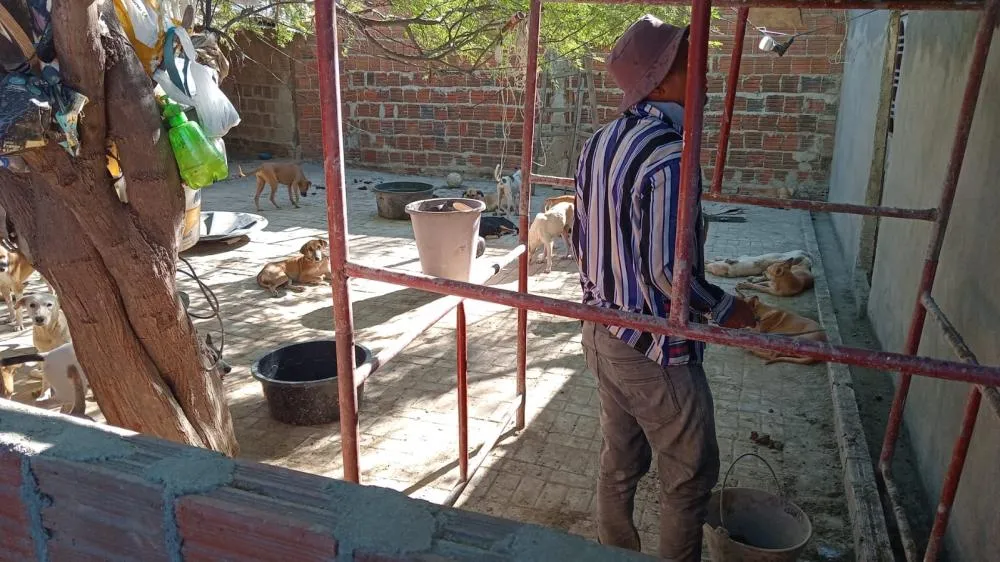 Protetor de animais voluntário precisa de ajuda para reforma de abrigo em Floresta, PE