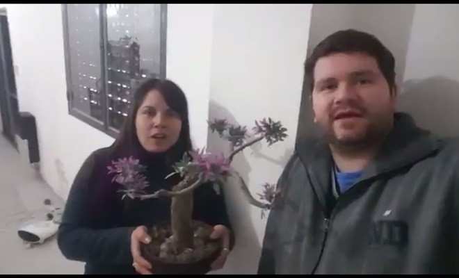 Foto: Reprodução