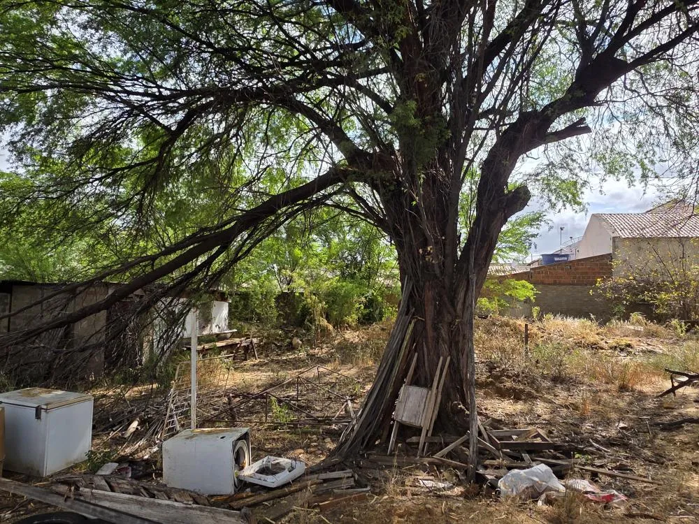 Cadê o projeto de restauração do antigo Batalhão de Floresta?