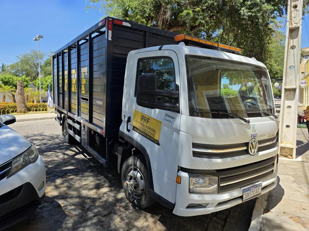PRF e prefeitura realizam operação para apreender animais soltos em Floresta