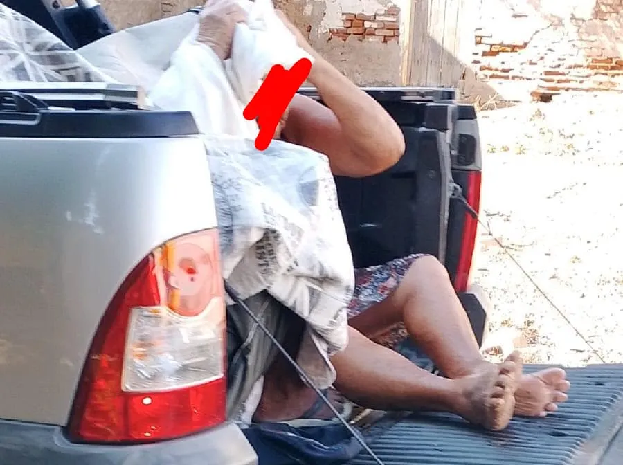 Ataque de abelhas deixa pessoas feridas perto do Cemitério São Miguel em Floresta