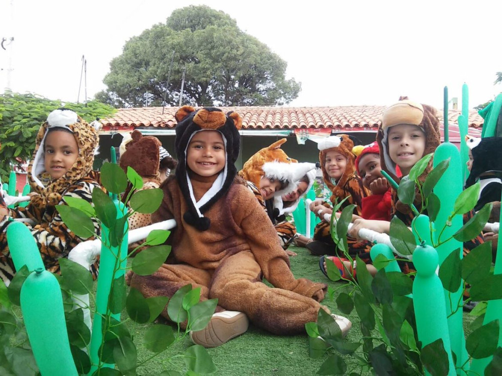 Foto: Reprodução