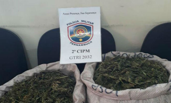 Maconha estava pronta para o consumo 