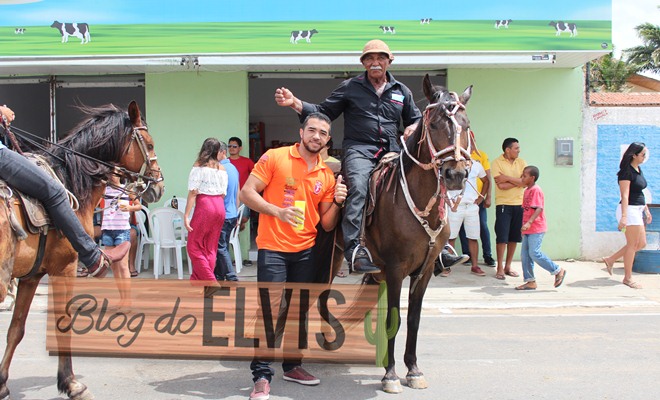 Cavalo Doido