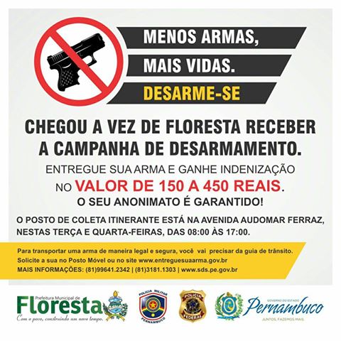 campanha de desarmamento em floresta-pe